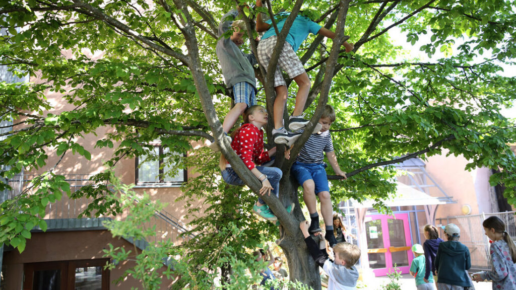 Kinder klettern auf einen Baum auf dem Schulhof.